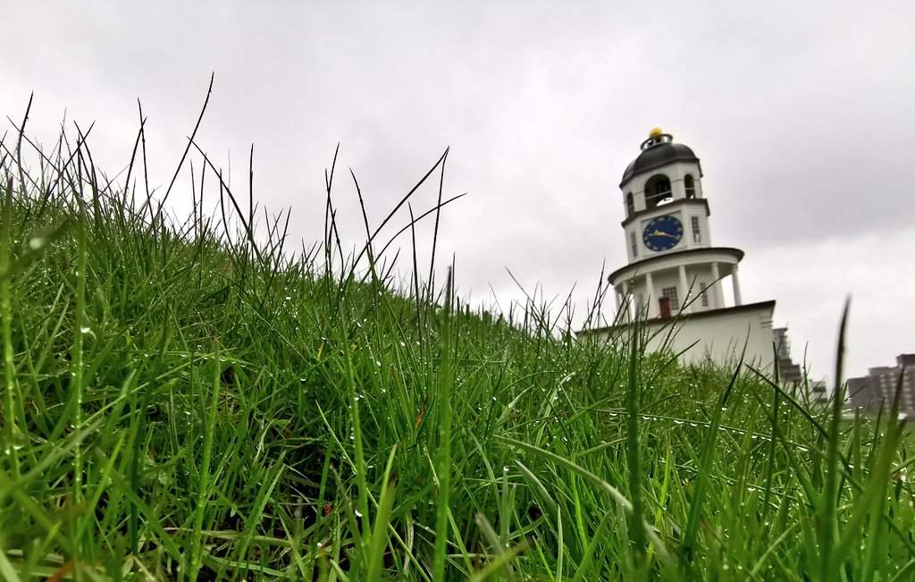 Rain falls on Citadel Hill in Halifax, N.S., on May 16, 2020. 
