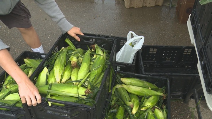 Guelph's farmers market is reopening on Saturday.