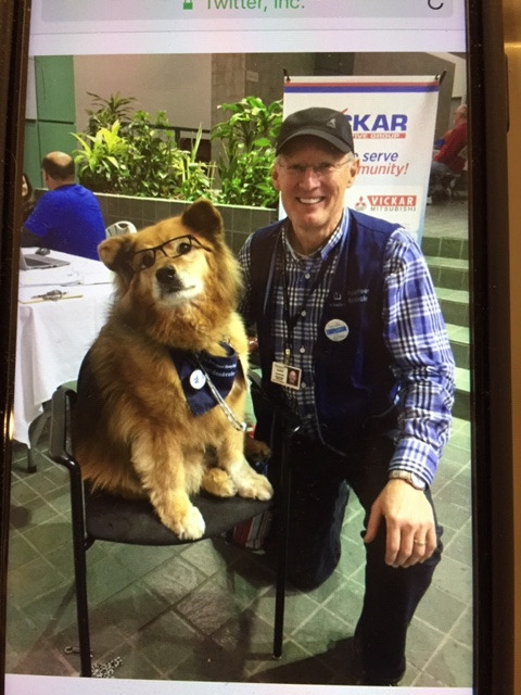 Rusty best sale therapy dog