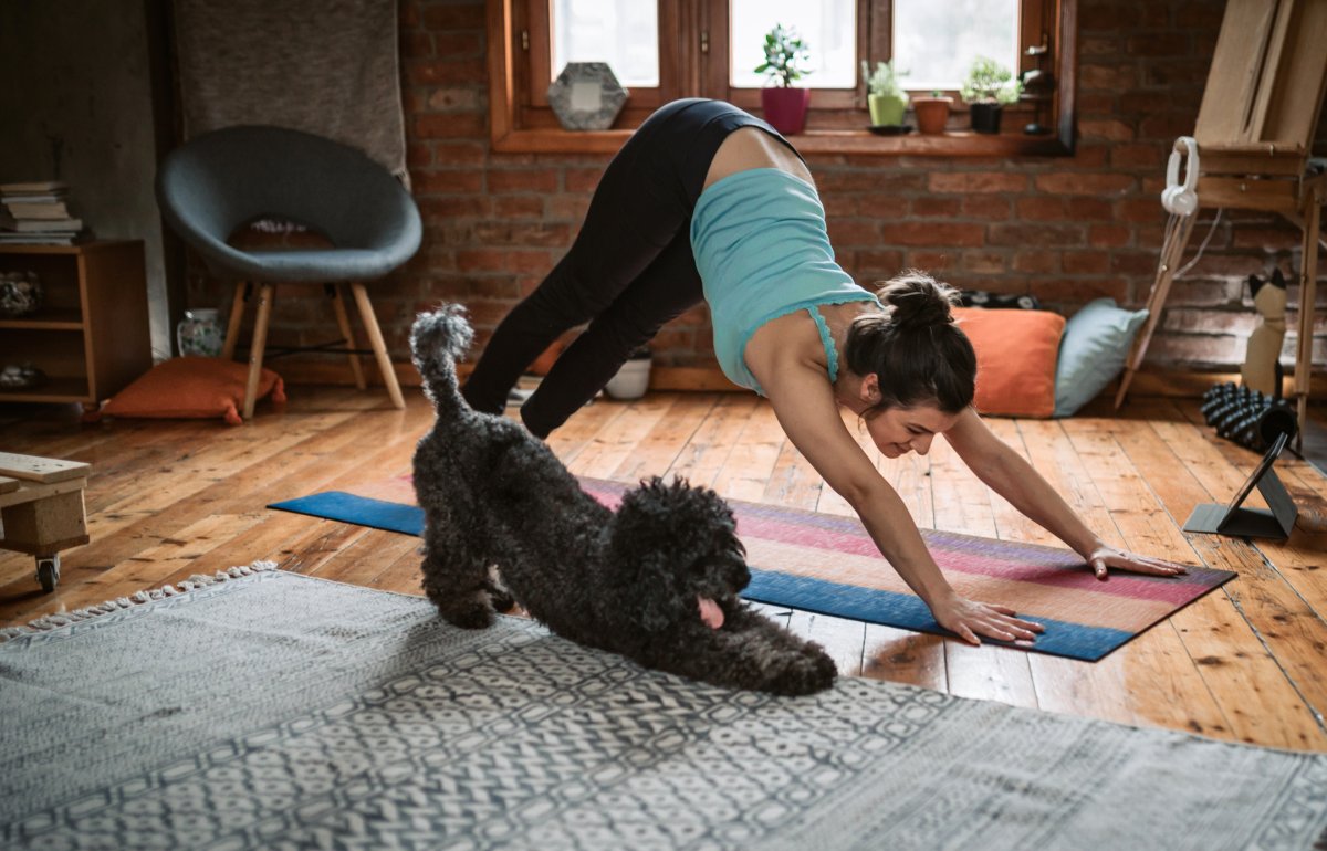 Young woman practicing downward facing dog pose playing with her pet in the living room.