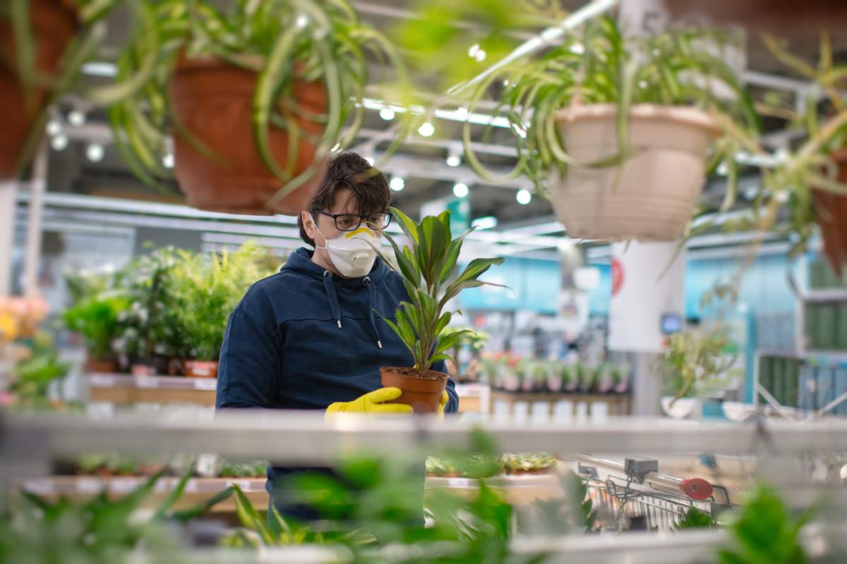 Coronavirus: As businesses reopen, here’s what to know about going back to work safely - image