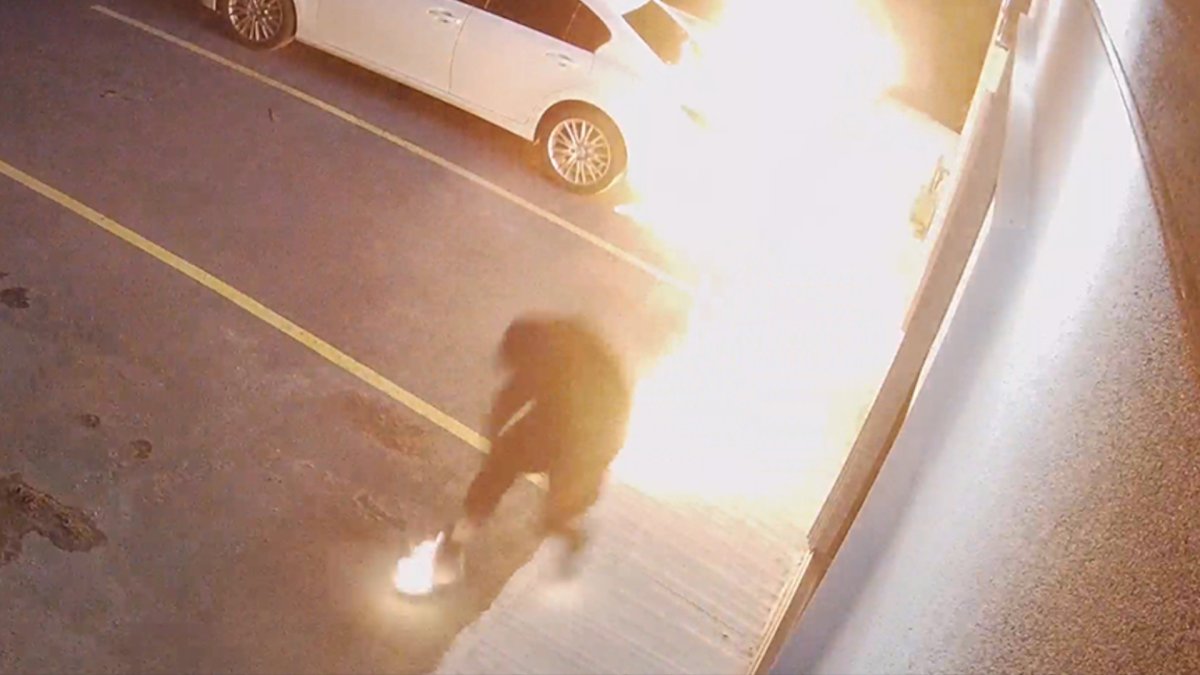 Police are looking for a man who appears to have accidentally lit himself on fire in an attempted arson in Halton Hills on May 11, 2020.