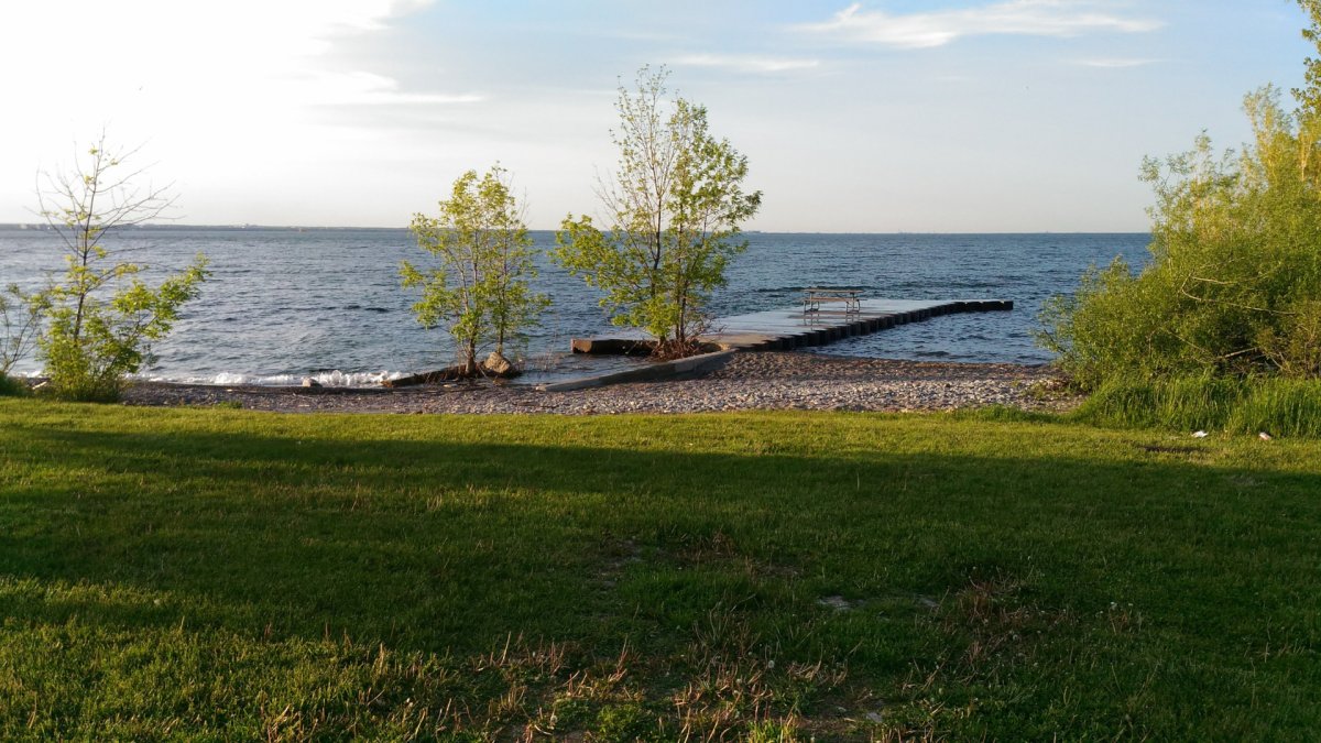 Hamilton beaches listed as safe for swimming include all sections along Lake Ontario, from the Burlington lift bridge to Confederation Park.