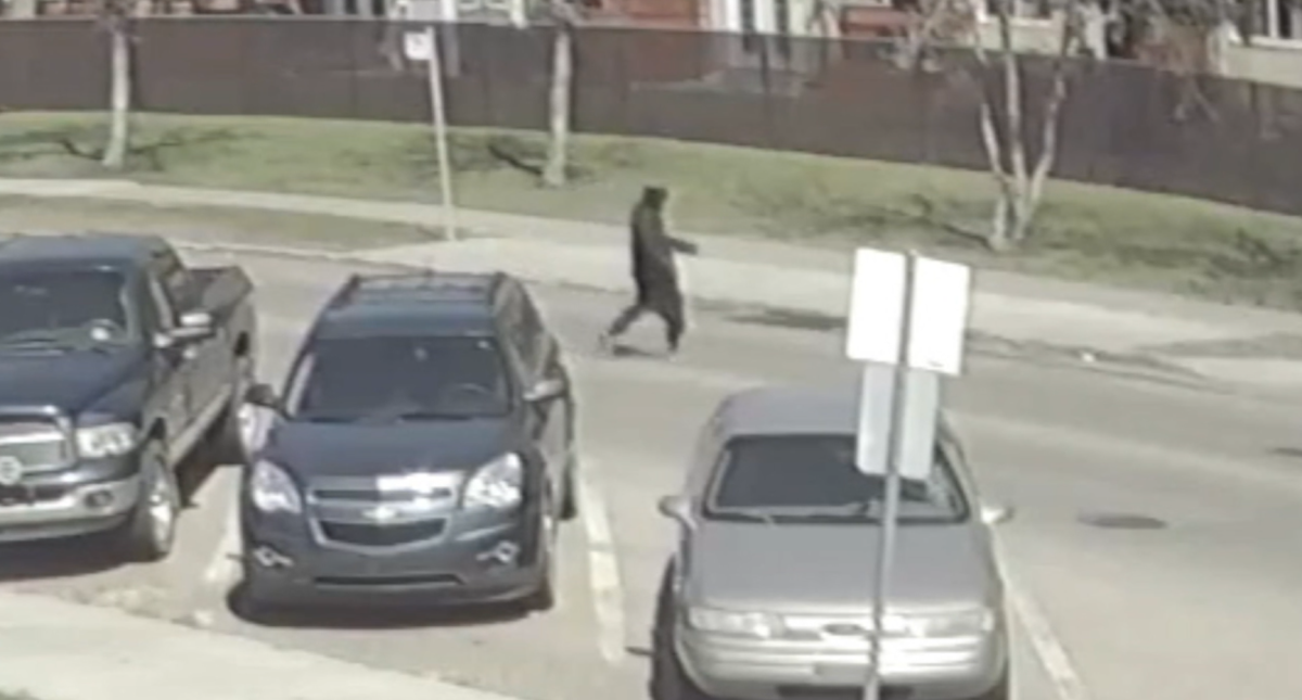 A still from a video released by Edmonton police. Investigators are looking for a suspect after senior woman was attacked outside her home.