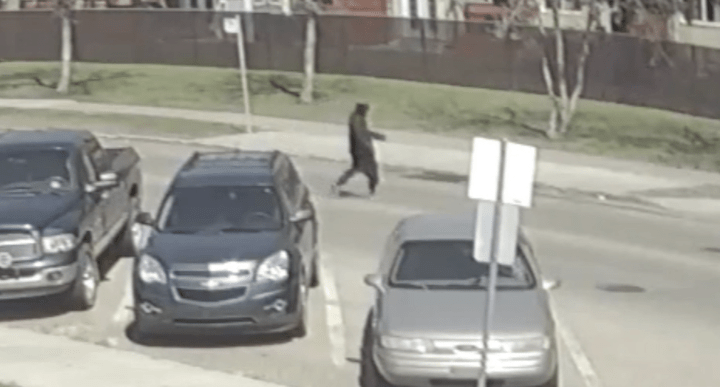 Edmonton Police Seeking Tips After ‘violent Random Attack On Senior Woman Edmonton 1291