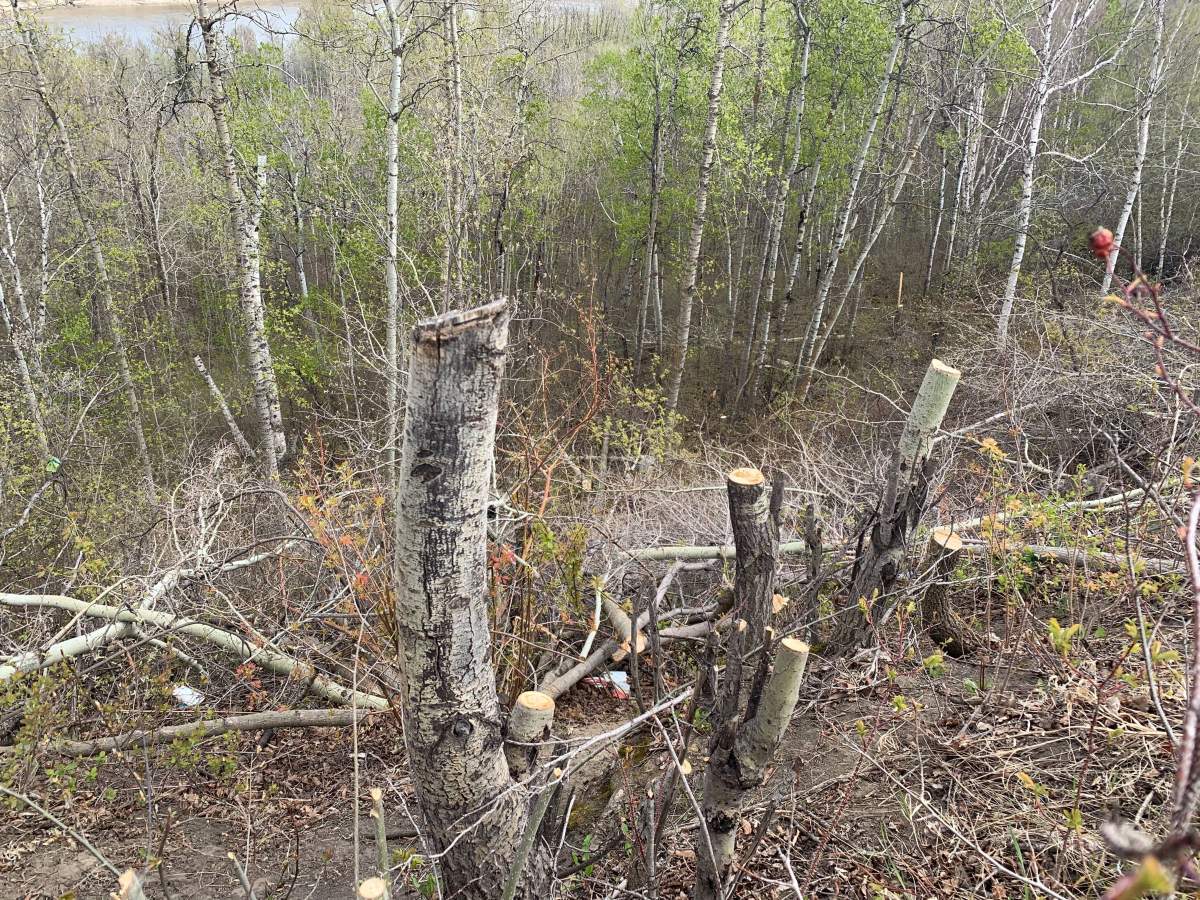 Global News / Julien Fournier