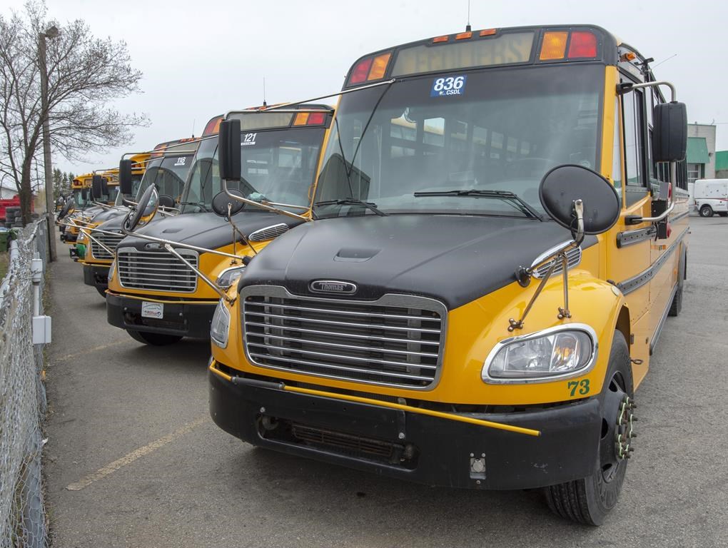 School buses are parked at a depot.
