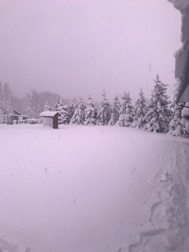 A shot of snowfall near Mackay, Alta., taken Monday, May 4, 2020.