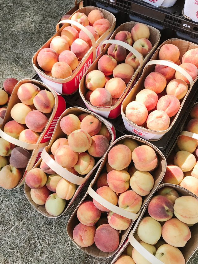 The Winona Peach Festival is the latest summer event cancelled because of the coronavirus pandemic.