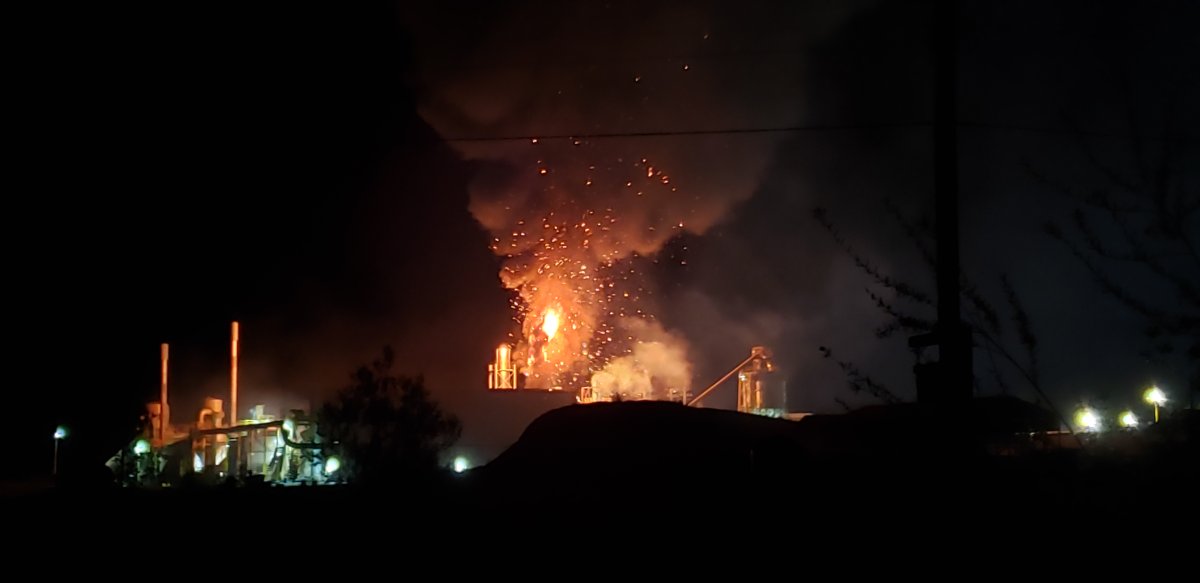 A large explosion at a pellet plant in Lavington, B.C., awoke neighbours from their sleep early Monday. 