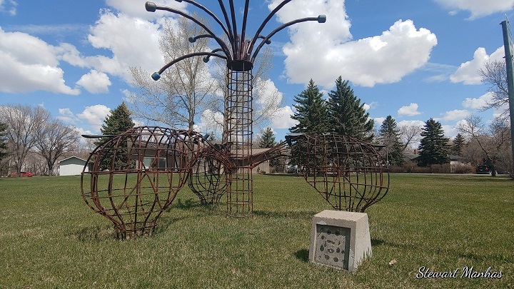 Regina police are investigating a series of thefts across the city involving commemorative bronze plaques, which they suspect were stolen for their scrap metal value. 