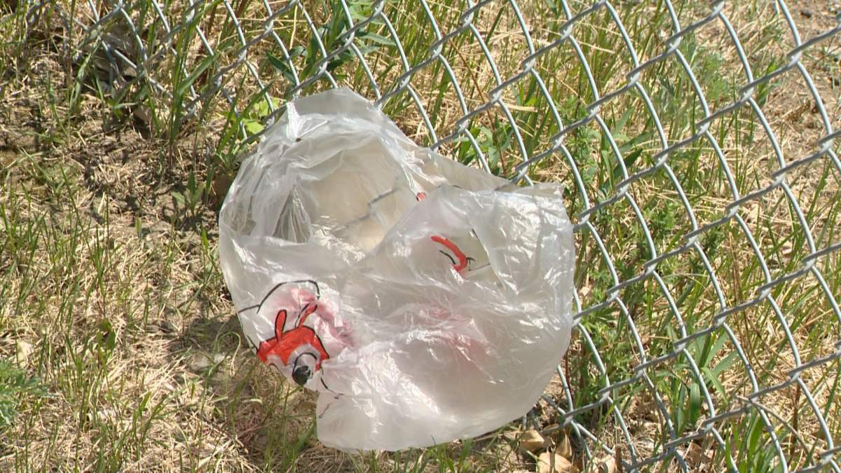 If Regina’s draft bylaw is approved, the Queen City will become the second municipality in Saskatchewan to ban plastic checkout bags.