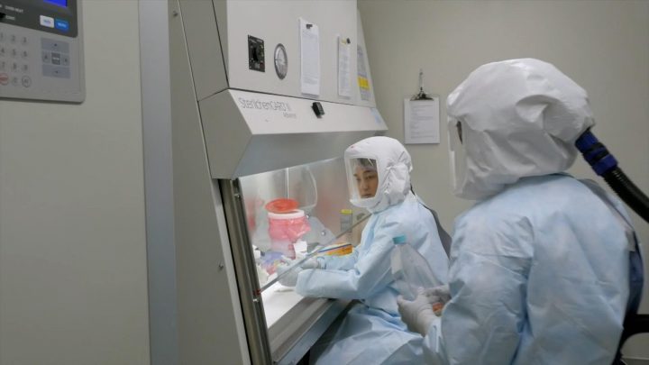 USask’s Vido-InterVac nearing human clinical trials for COVID-19 vaccine - image