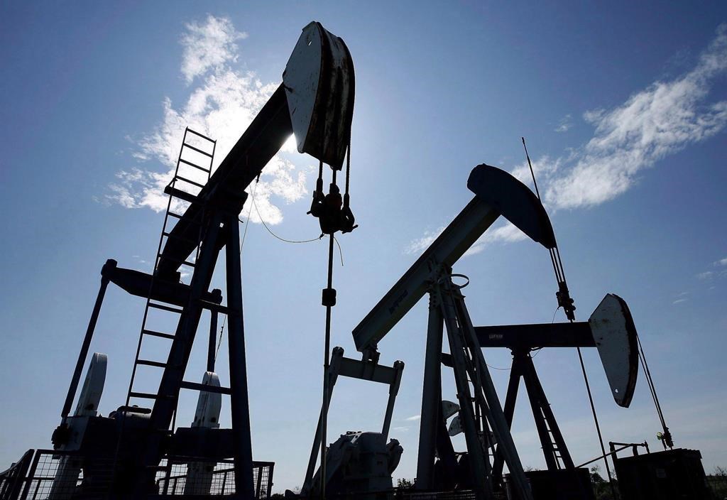 FILE: Pumpjacks pump crude oil near Halkirk, Alta., on June 20, 2007. THE CANADIAN PRESS/Larry MacDougal.