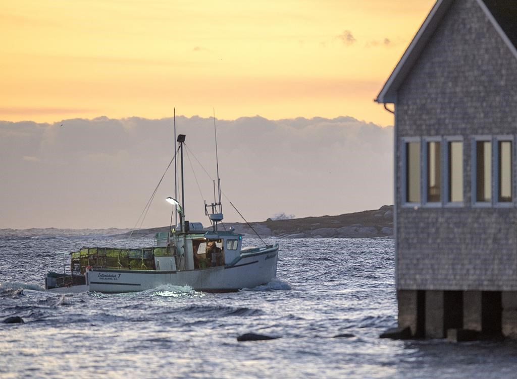 Fishing boats, loaded with traps, head from port in West Dover, N.S. on Tuesday, Nov. 26, 2019 as the lobster season on Nova Scotia's South Shore begins after a one-day weather delay. Groups representing fishermen in Atlantic Canada are looking for direct federal help that will help them ride out uncertain markets this year.