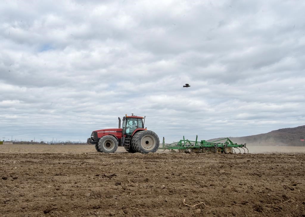 Most of southern Saskatchewan, and some eastern parts of the province, are in a severe drought heading into spring seeding.