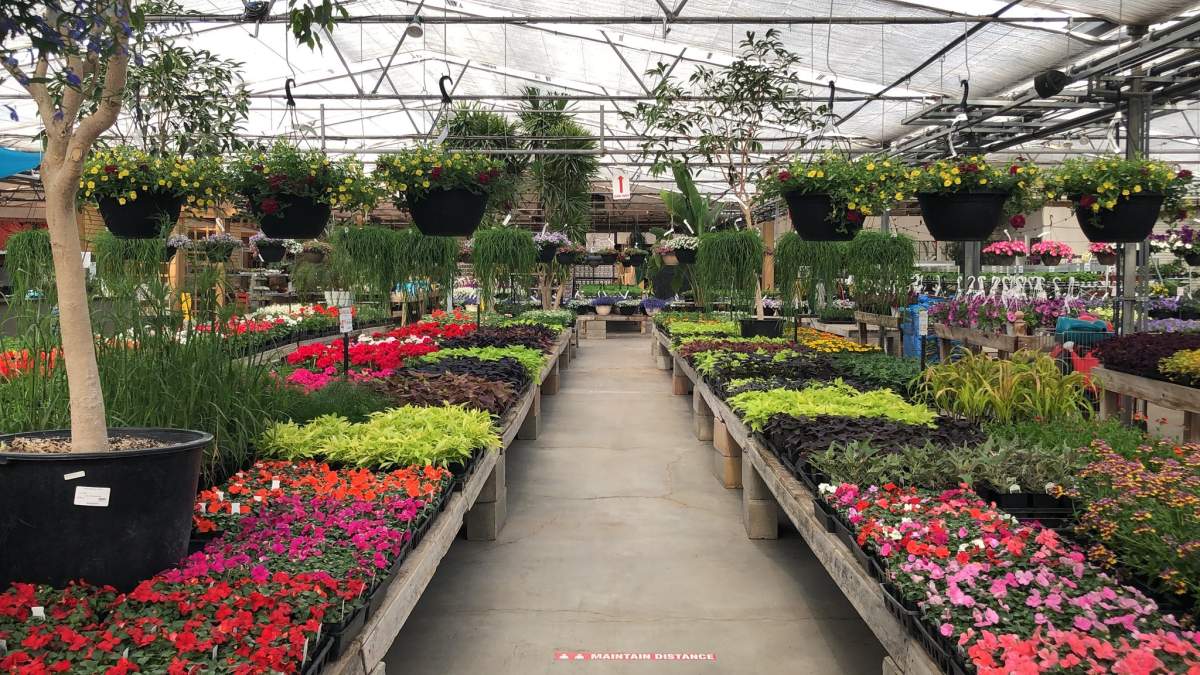 The staff at Shelmerdine's on Roblin Boulevard have been experiencing extreme negativity and rudeness from customers recently.