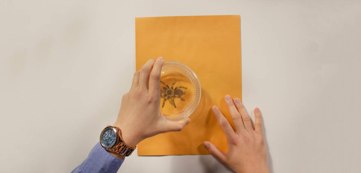 A shot from an augmented reality program designed by a University of Alberta student.