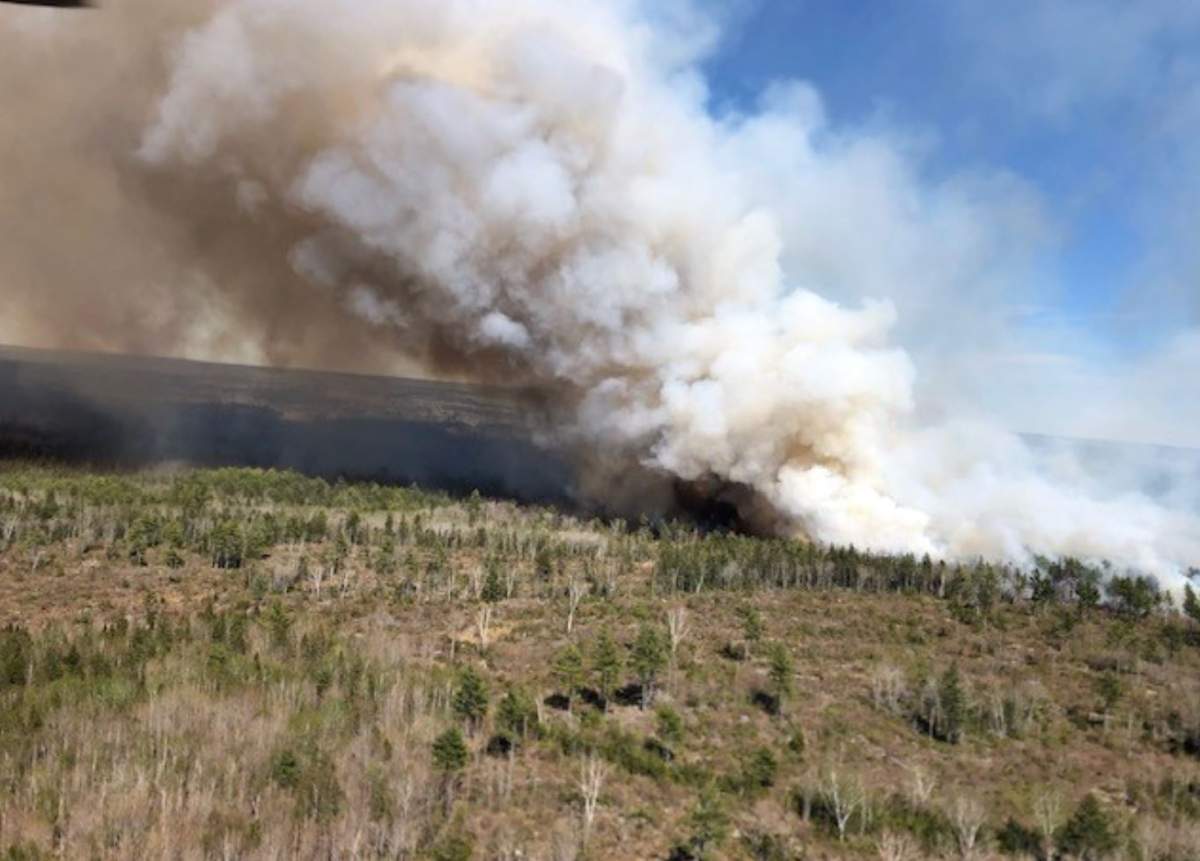 The fire in Springfield is about 120 hectares in size and is considered out of control.