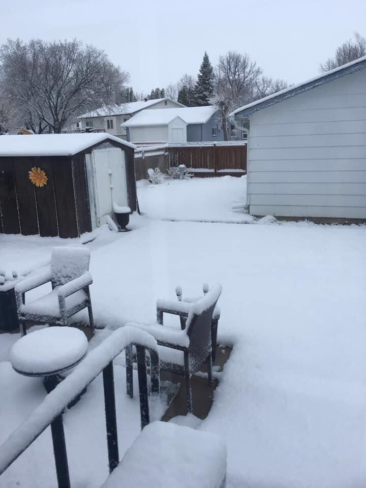 A snapshot of the snow that fell in Brandon overnight. 