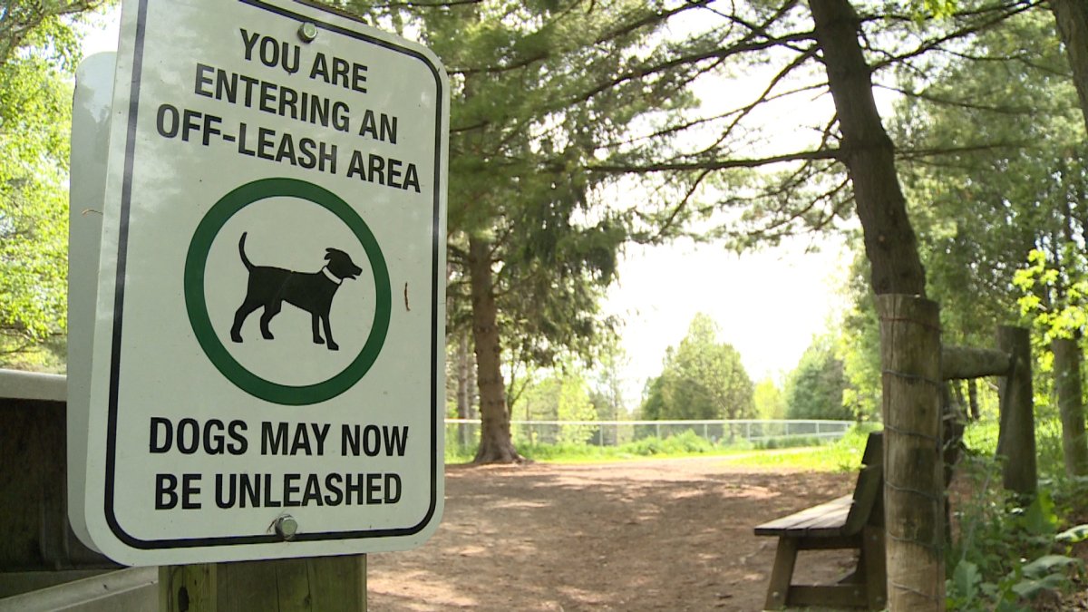Guelph is building a second fenced-in dog park for pets and pet owners.