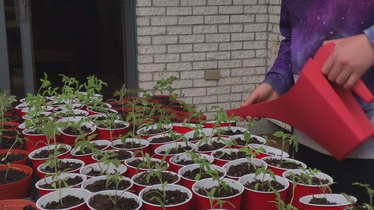 Kian Armas watering his plants.