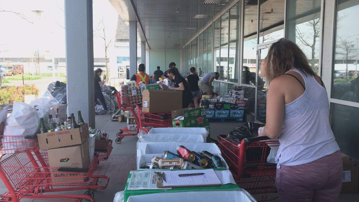 Lakeshore General Hospital Foundation staff and volunteers sort through empty cans and bottles.