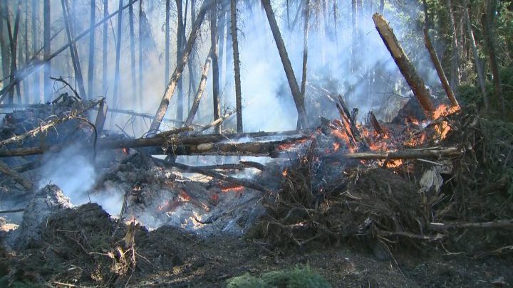 A wildfire burns in Saskatchewan. 
