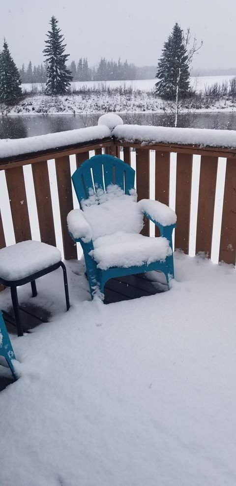 A shot of snow in the hamlet of Wildwood, Alta., east of Edmonton on Monday May 4.