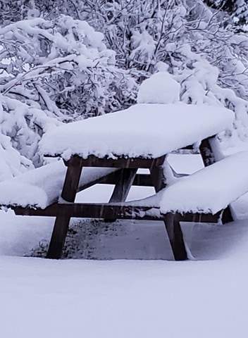 A shot of May snow taken near the hamlet of Wildwood, Alta., on Monday May 4.