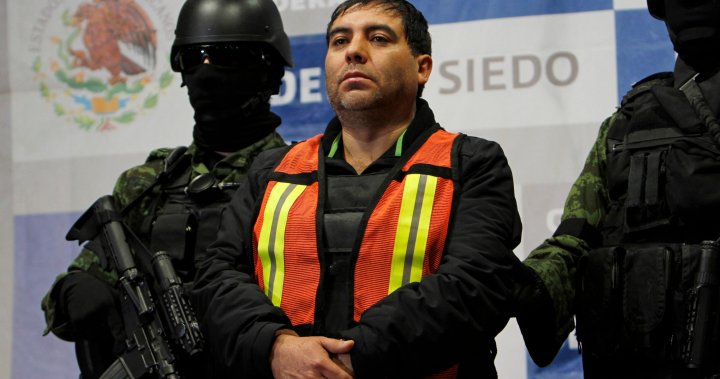Mexico extradites alleged aide to El Chapo drug cartel to the U.S ...