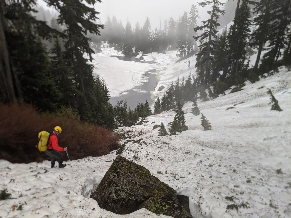 Search crews are trying to follow tracks toward the Indian Arm. Credit: North Shore Rescue.