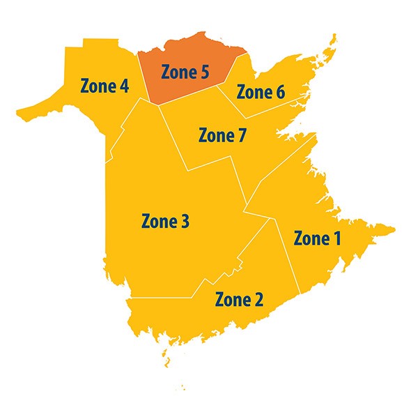 A breakdown of New Brunswick’s zones and their respective levels of the province’s COVID-19 recovery plan.