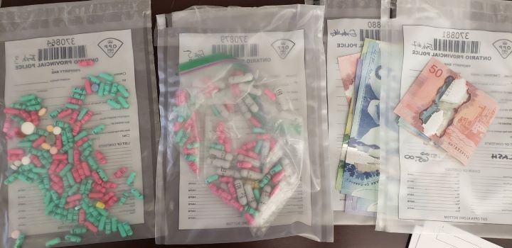 Nottawasaga OPP seize hundreds of hydropmorphone pills, cocaine - image