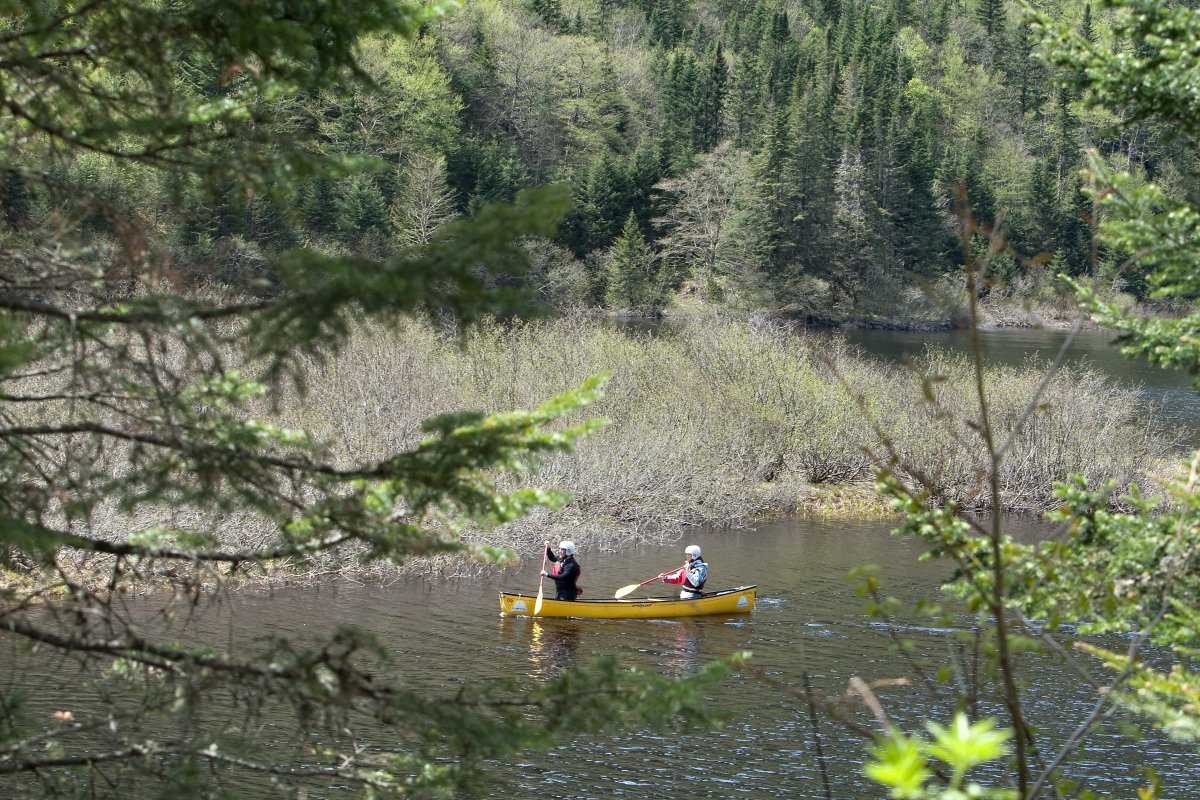 Two person paddle a canoe in the riviere Jacques-Cartier River in the parc national de la Jacques-Cartier national park some 40 km north of Quebec city May 26, 2009. 
