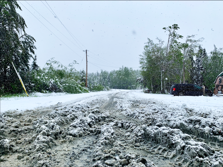 A road in Pickle Lake Township is covered in snow and slush after a June snowfall