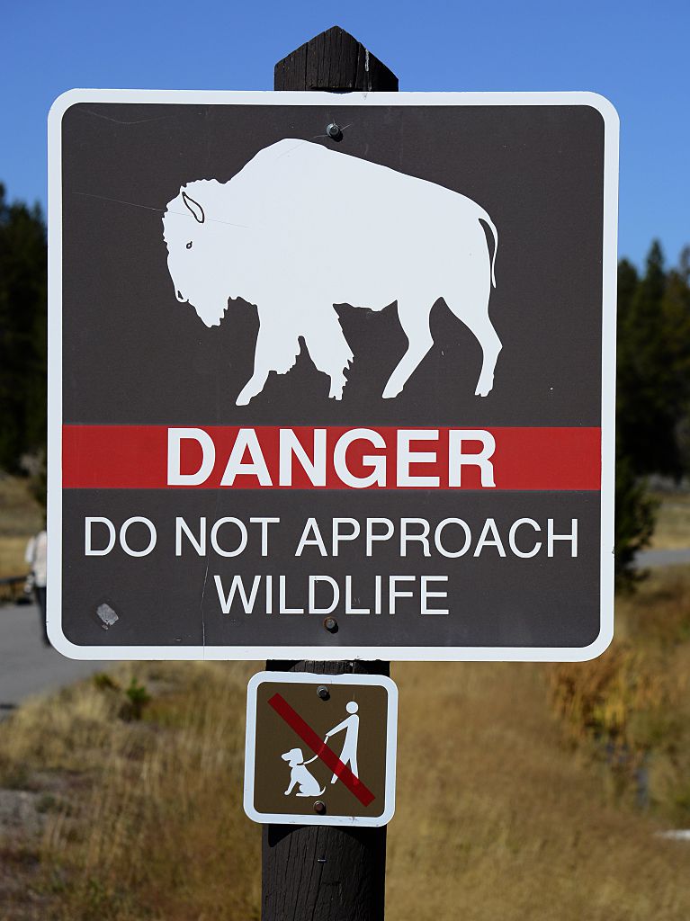 A sign in Yellowstone National Park warns visitors to not approach bison and other wildlife in the park.
