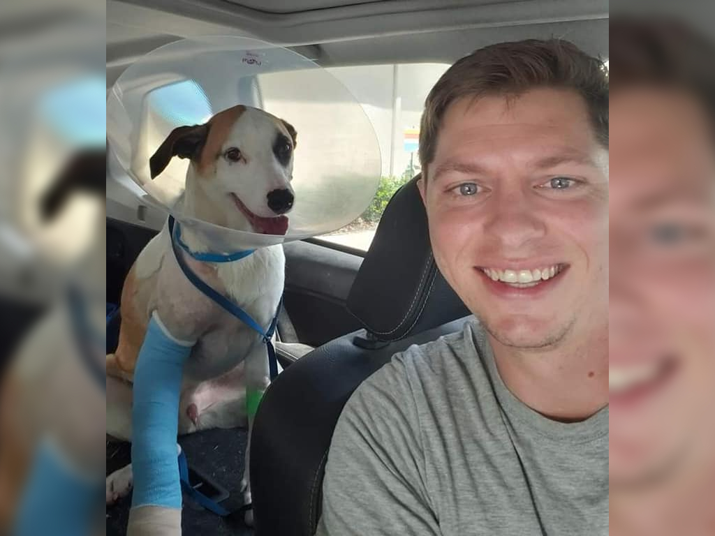 Florida man Trent Tweddale punched an alligator in the face to save his dog, Loki.