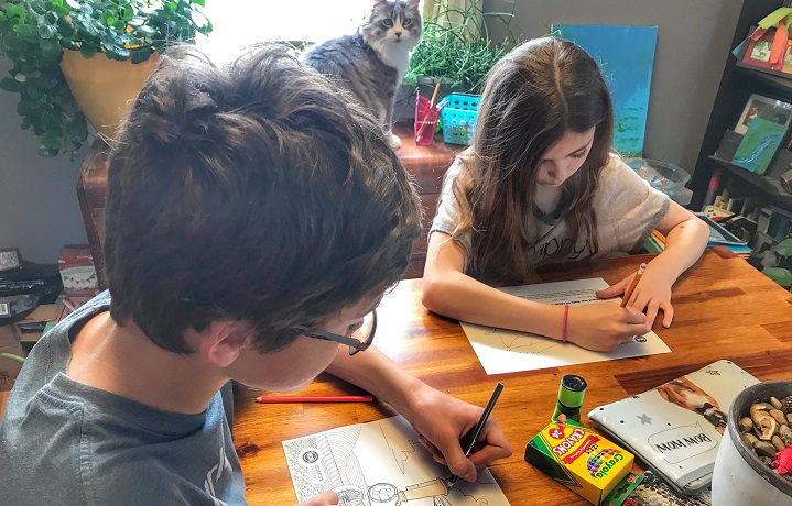 The Western Development Museum is hosting a virtual summer camp program in four branches  – Yorkton, Moose Jaw, Saskatoon and North Battleford.