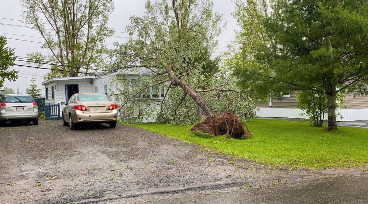 Environment Canada says the storm brought gusts of up to 90 kilometres per hour and up to 20 millimetres of rain.