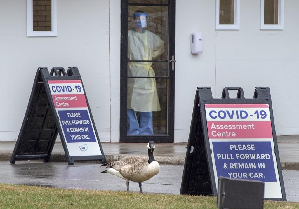 A Canada Goose is the only visitor outside at a Covid-19 testing centre in Toronto on Monday, April 13, 2020. THE CANADIAN PRESS/Frank Gunn.