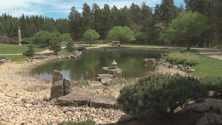 The University of Alberta Botanic Garden reopened near Devon on Monday and those who run it say they expect it to become a popular place to go during the ongoing COVID-19 pandemic.