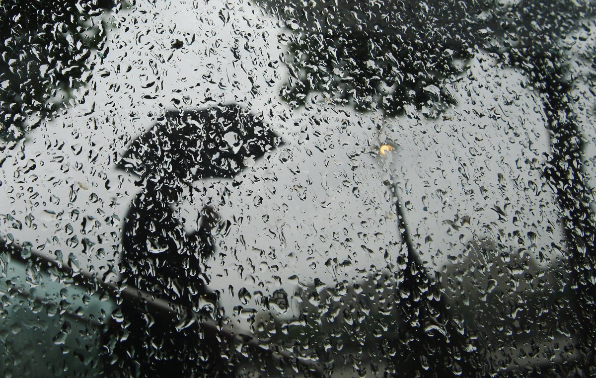 According to Environment Canada, showers may return Sunday evening, with a low of 20 C.
