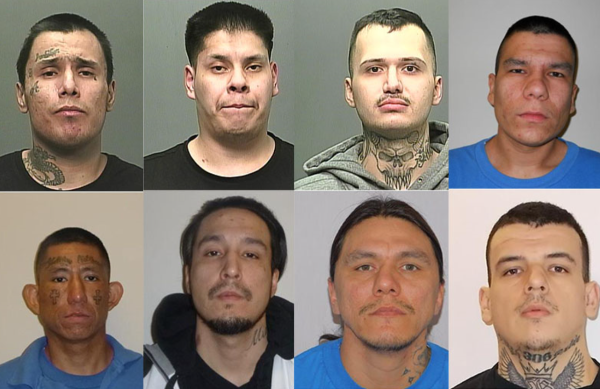 Winnipeg's current most wanted.

From top .