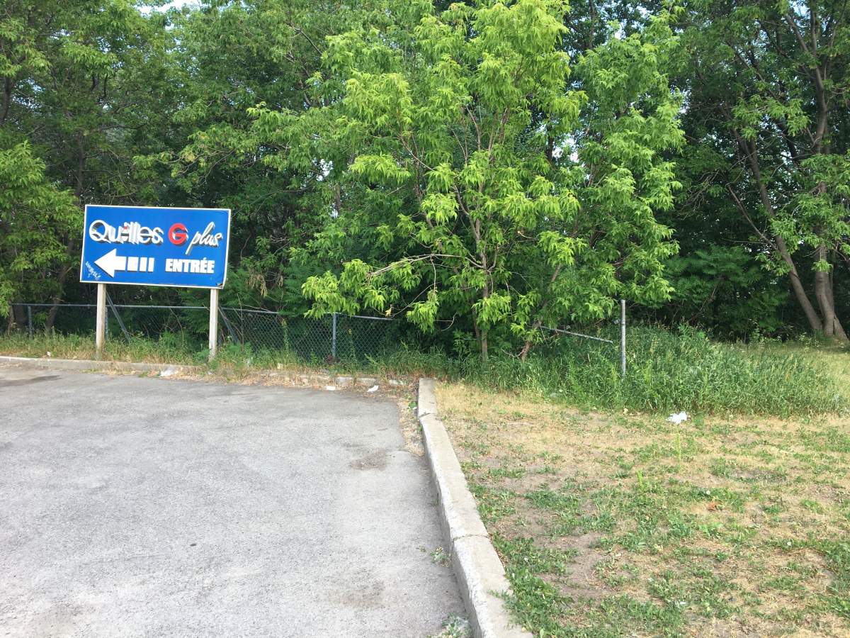 The approximate location where the human bones were discovered Sunday night by a clue collar worker.