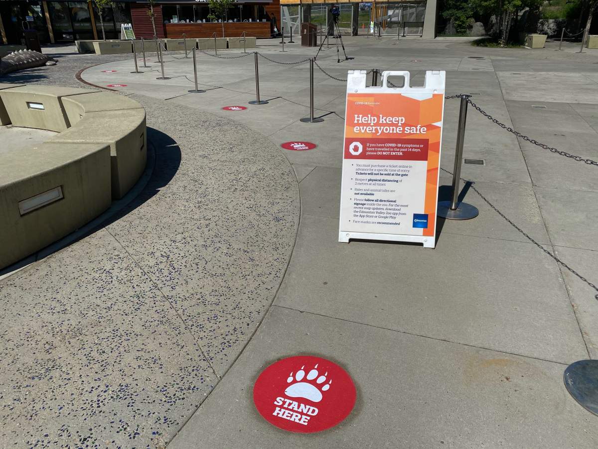 The Edmonton Valley Zoo has put in a number of safety precautions as it prepares to reopen on June 15 amid the COVID-19 pandemic.