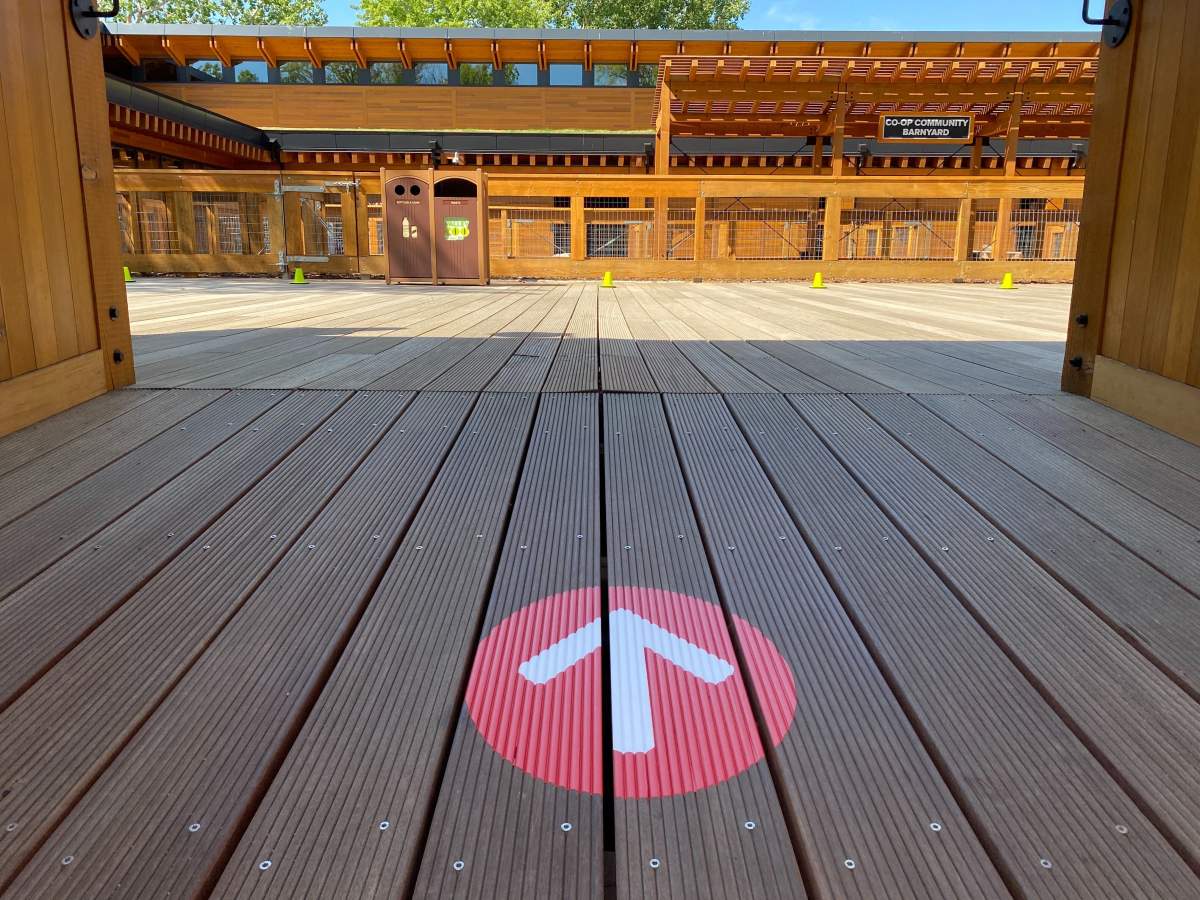 The Edmonton Valley Zoo has put in a number of safety precautions as it prepares to reopen on June 15 amid the COVID-19 pandemic.