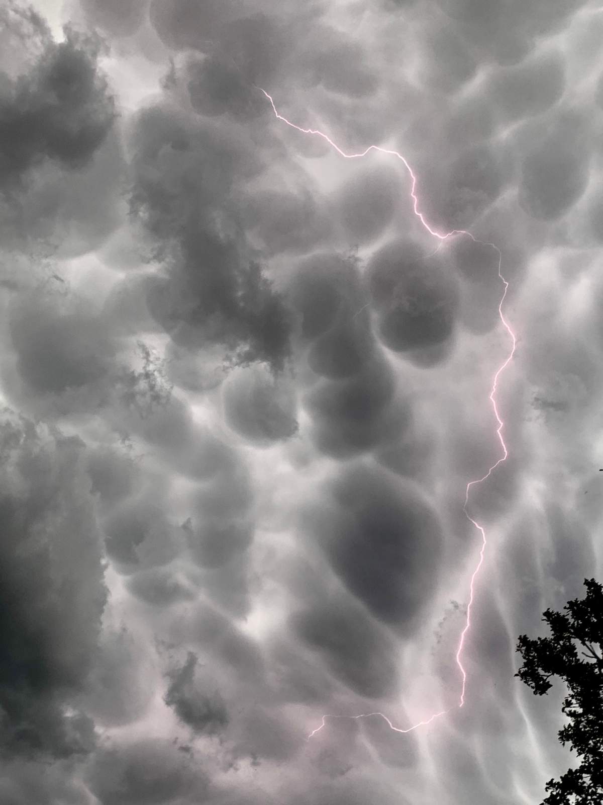 Lightning over Grunthal, Man. June 7, 2020.