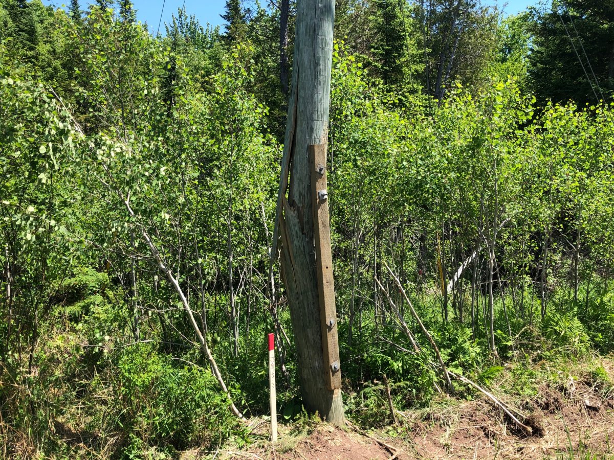 A pole was damaged in the crash, according to an employee with the Town of Quispamsis.