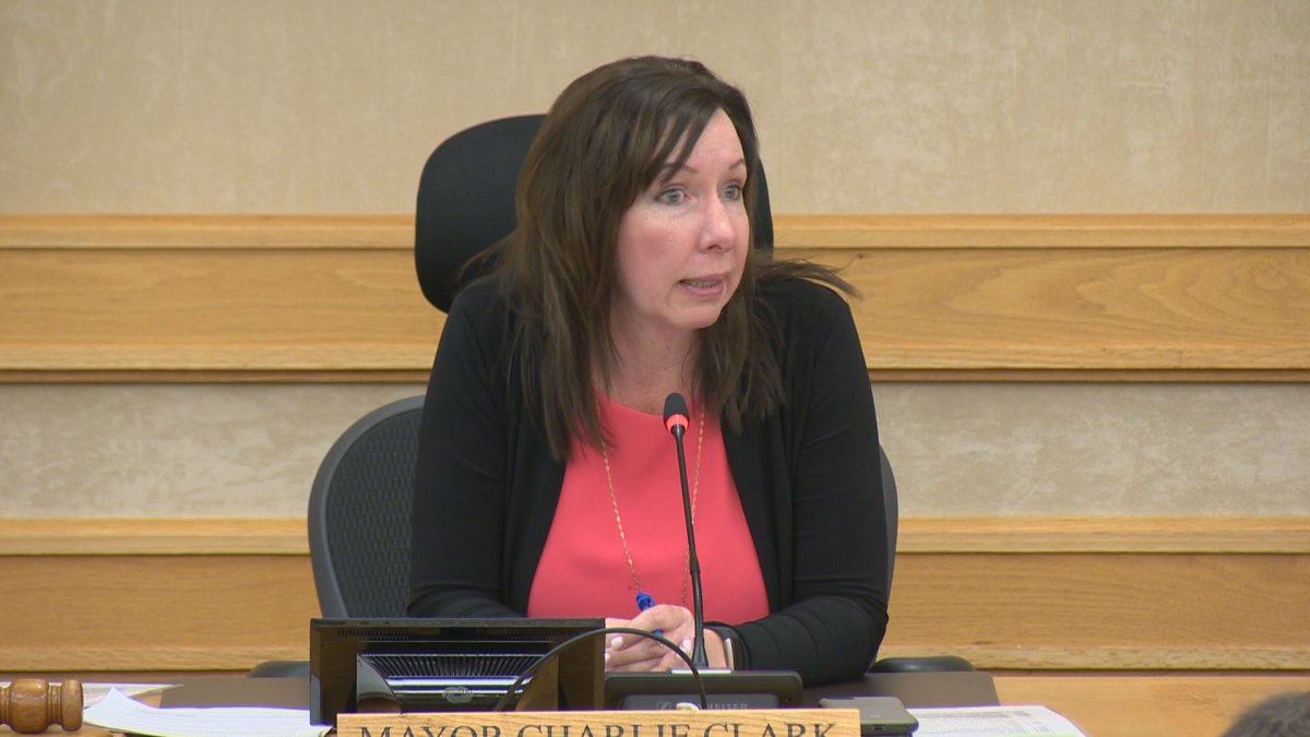 Saskatoon Ward 3 Coun Ann Iwanchuk announced she is not seeking another term on Saskatoon city council. 